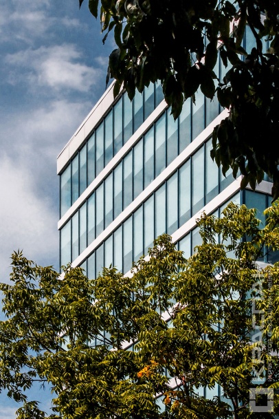 International Bayview Towers